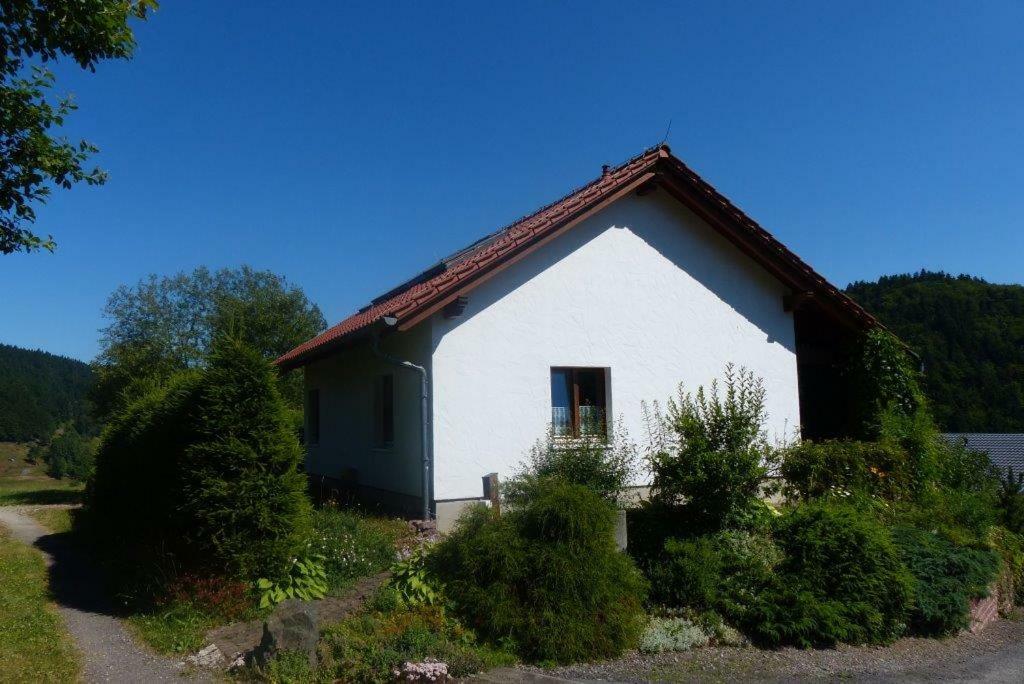 Ferienhaus am Löffelberghüttchen Gießübel Exterior foto